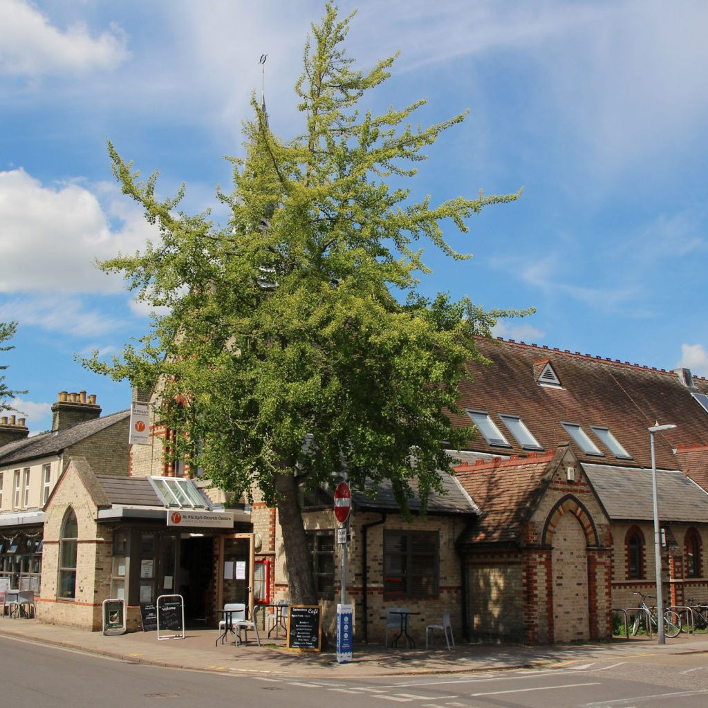 Small brick building with solar panels on a street corner under a blue sky.